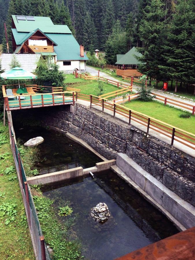 Pensiunea Vanatorul Obarsia Lotrului Exterior foto