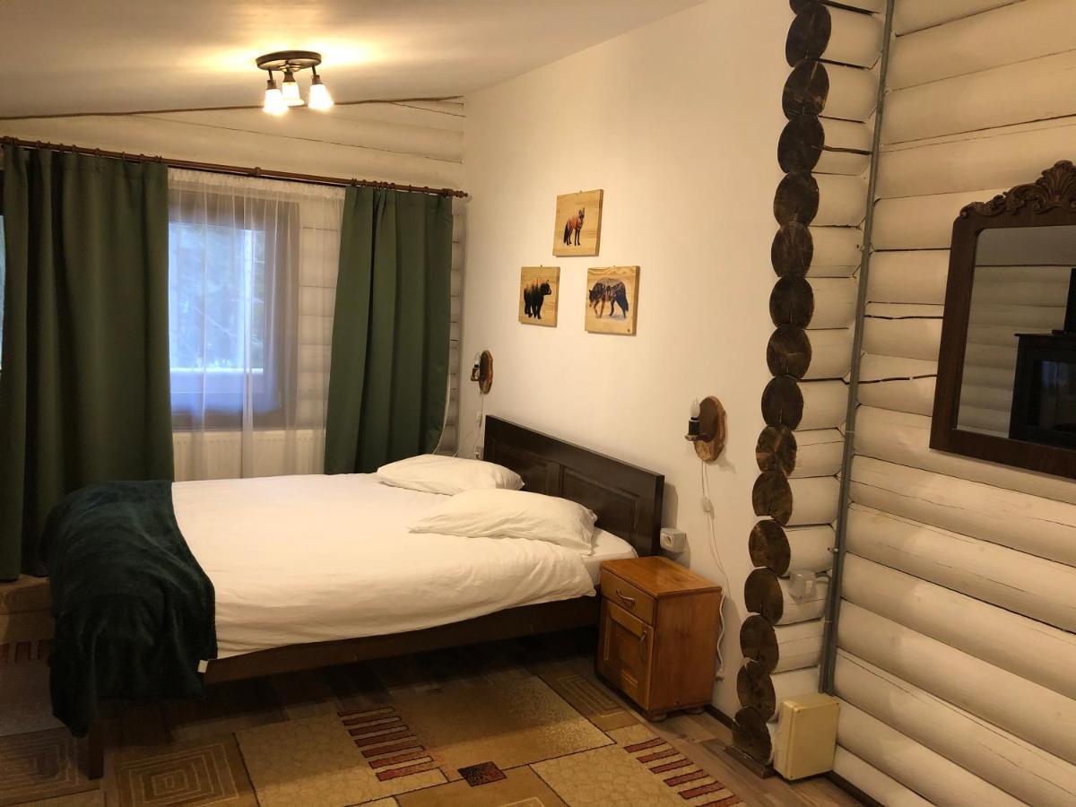 Pensiunea Vanatorul Obarsia Lotrului Exterior foto